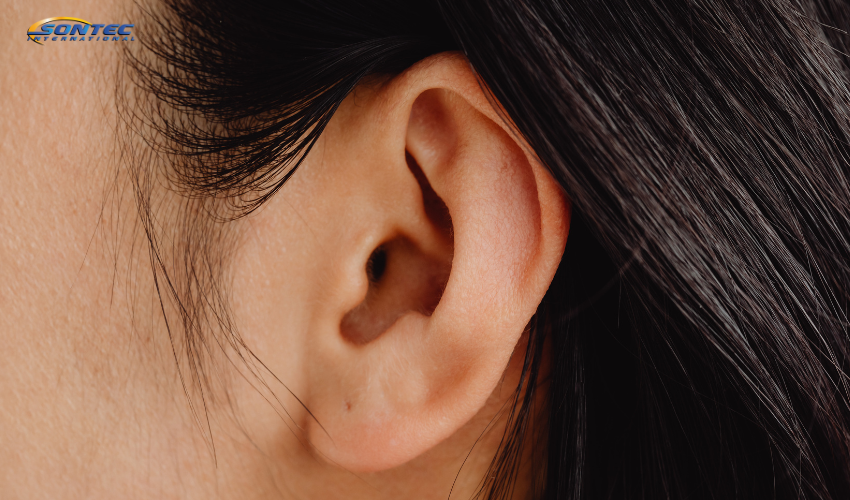 partes del oído externo